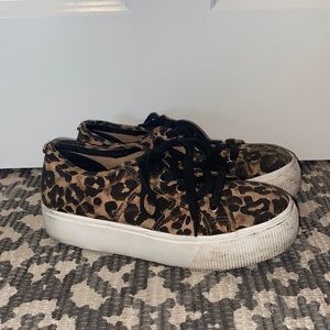 Steve Madden Shoes Emmi Leopard Print